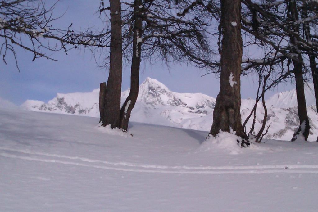 Taurer 3* Kals-am Großglockner